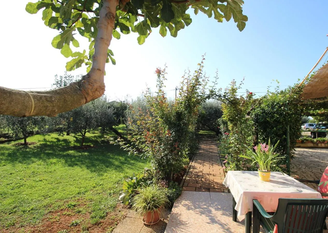 Alma A2 Apartment Novigrad
