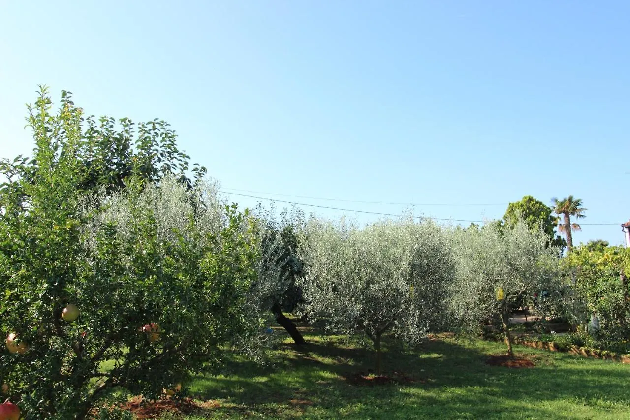 Appartement Alma A2 à Novigrad Istria